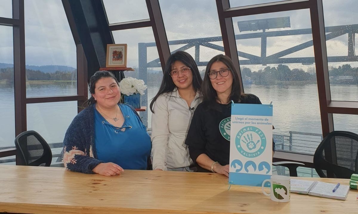 Revive el estreno de Miércoles Alegres y Sustentables junto a Adopta Patitas y Manada Callejera