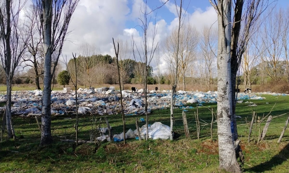 Organización acusa presencia de basural ilegal camino a Polloico en Osorno 