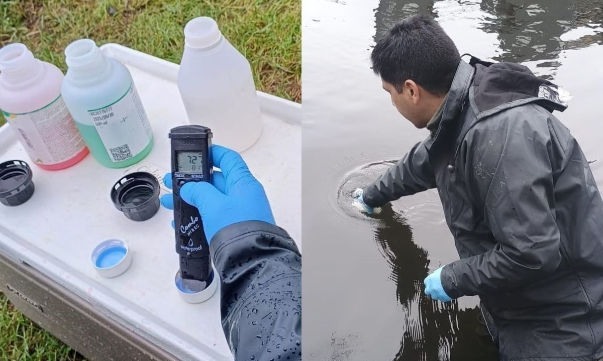 Realizan campaña de muestreo de calidad de agua en río Damas de Osorno