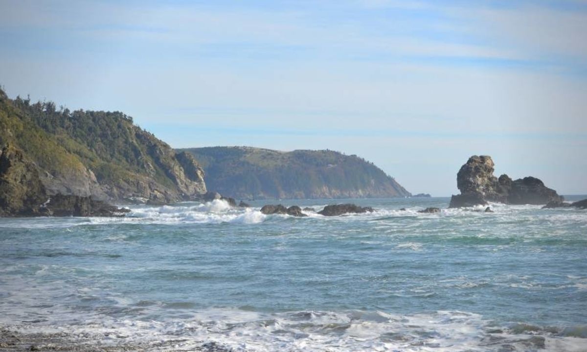Concluyen audiencias por demanda de daño ambiental contra proyectos inmobiliarios en costa valdiviana