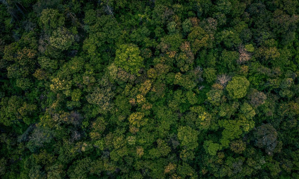 Proyecto que busca mejorar conservación de la biodiversidad comienza trabajo colaborativo en La Unión