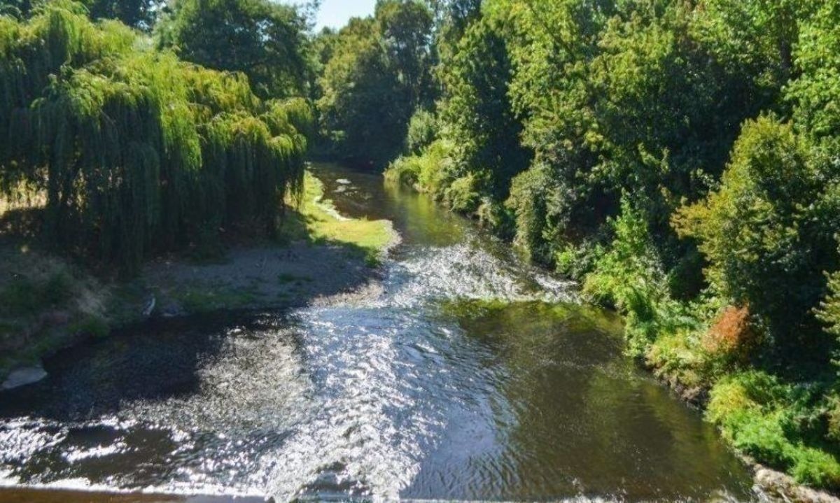 Comienza elaboración de norma para proteger a los ríos Rahue y Damas en Osorno 