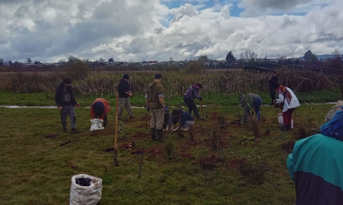CletaForestación reunió a familias y voluntarios valdivianos por el medioambiente