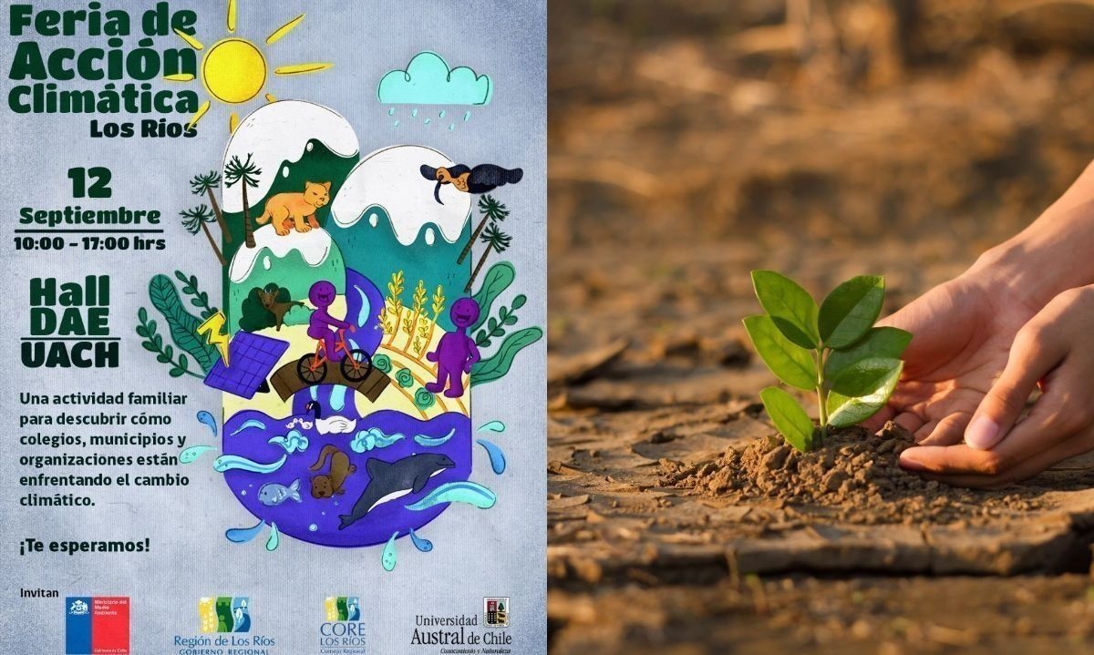 Primera Feria de Acción Climática de Los Ríos invita a conocer iniciativas para enfrentar el cambio climático