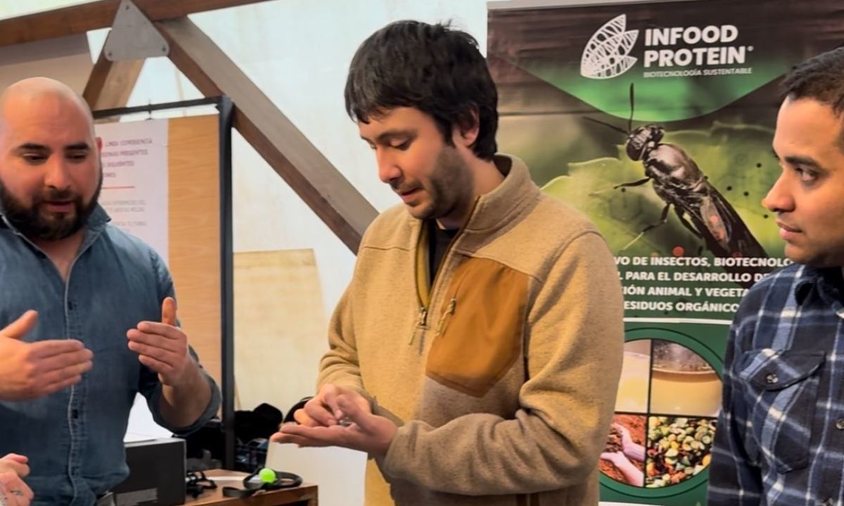 Infood Protein levanta capital para planta industrial