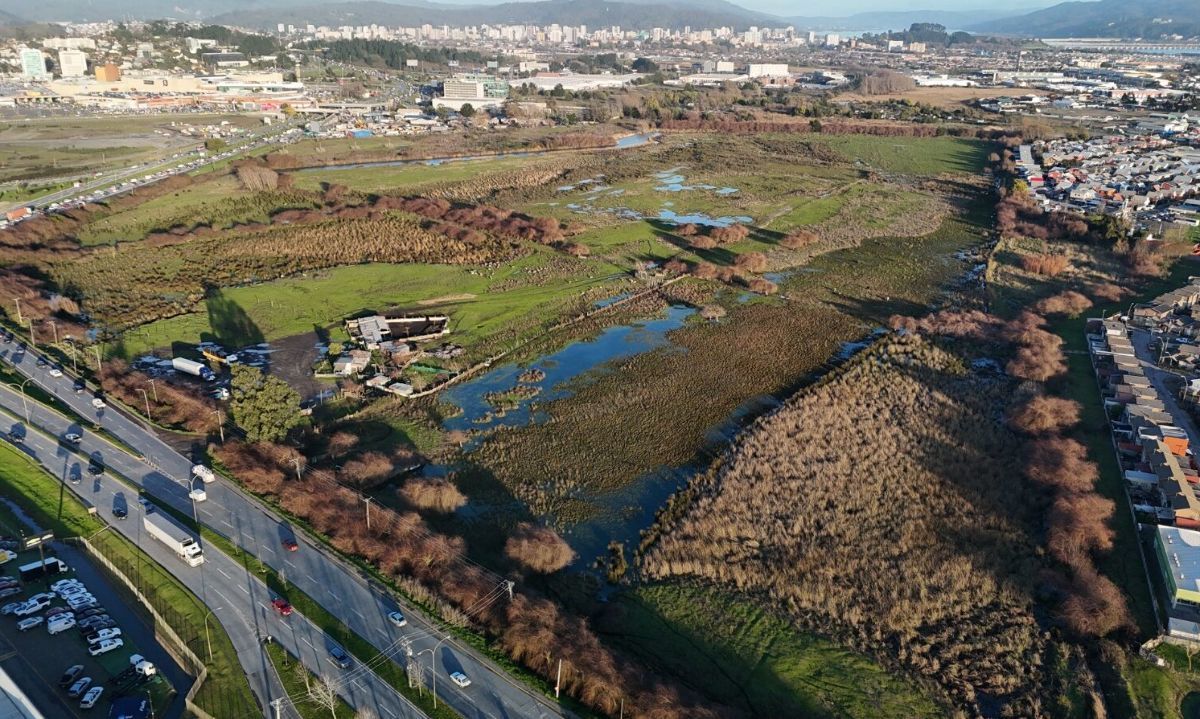 Declaran Humedal Urbano Vasco da Gama – Chimalfe en Biobío 