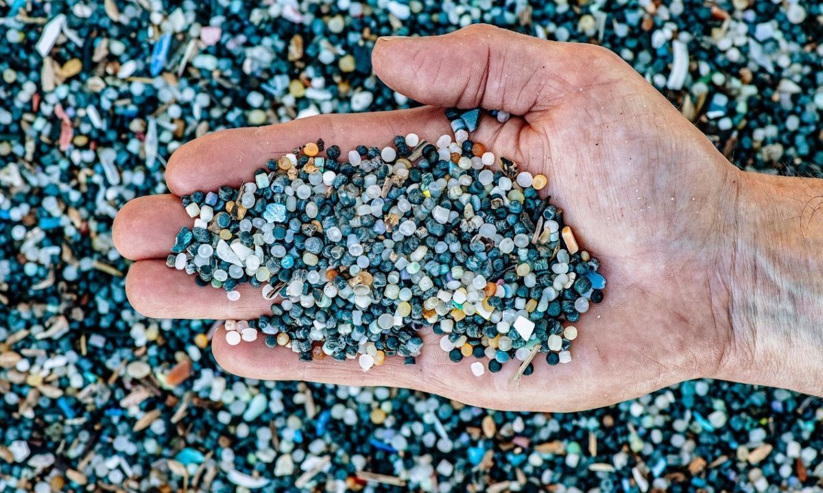 Valoran compromiso de más de 60 países para crear normas globales sobre contaminación por plásticos