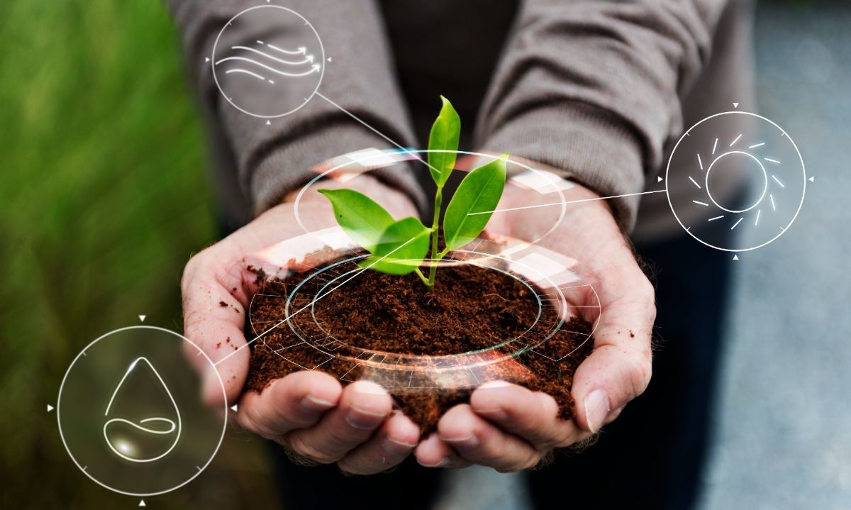 Grupo Zenit lanza programa para formación de emprendimientos sostenibles en Araucanía