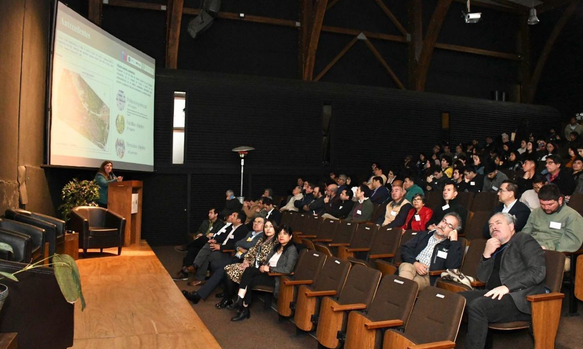 Seminario abordó avances de la Ley de Biocombustibles Sólidos y Electrodependencia en Los Ríos 