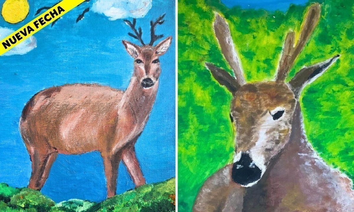 El llamado de esta versión es “Entre todas y todos cuidamos al huemul". Crédito: Conaf Aysén.