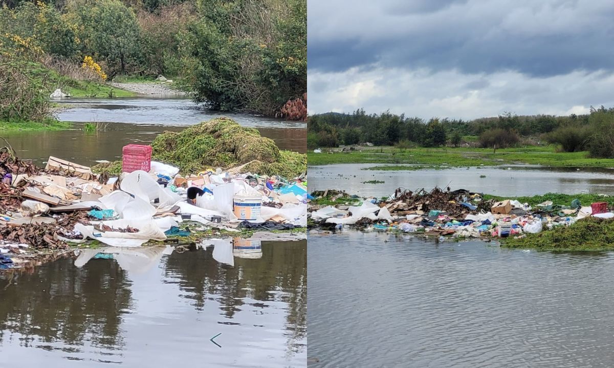 Denuncian deterioro ambiental en humedales protegidos en Región de La Araucanía  