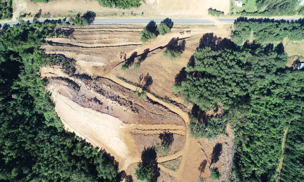 Confirman condena a inmobiliaria por cortas no autorizadas de bosque nativo y plantaciones en Mariquina