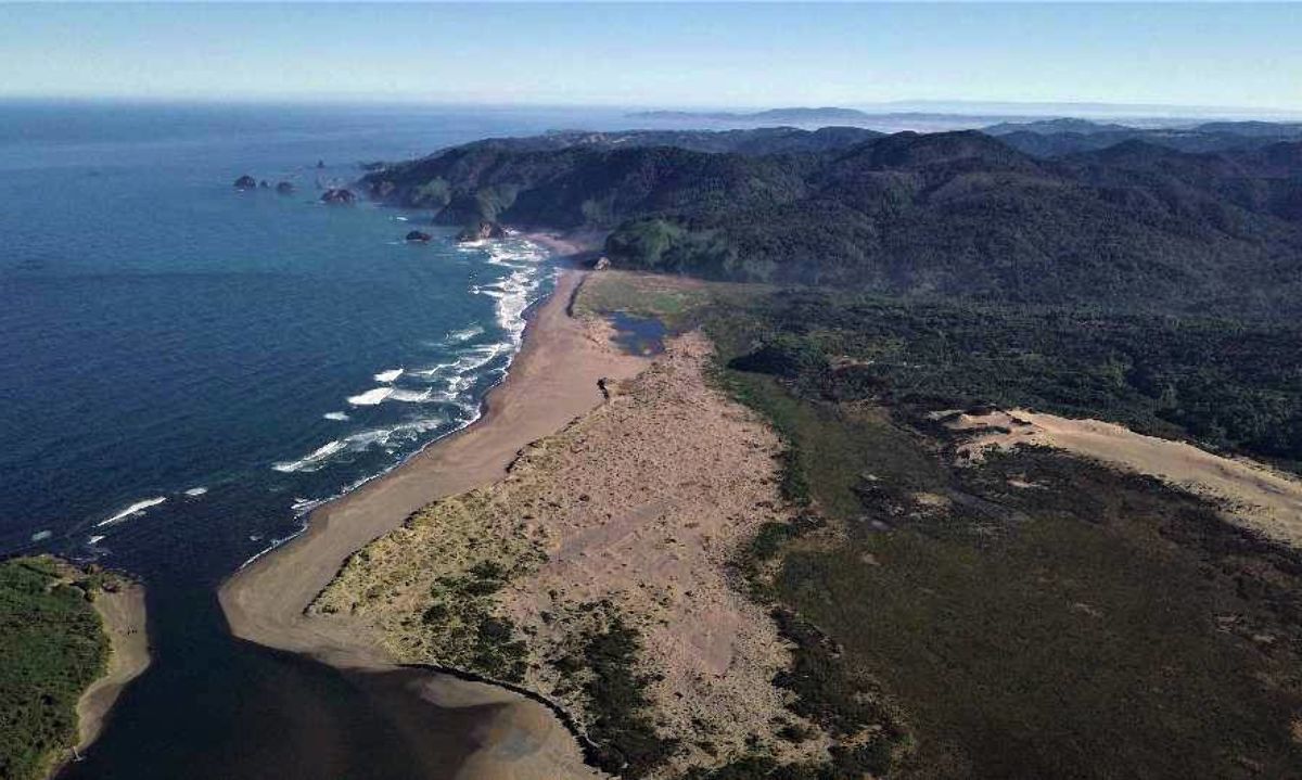 Organizaciones acusan lentitud en protección de la ecorregión marina de Chiloé– Taitao