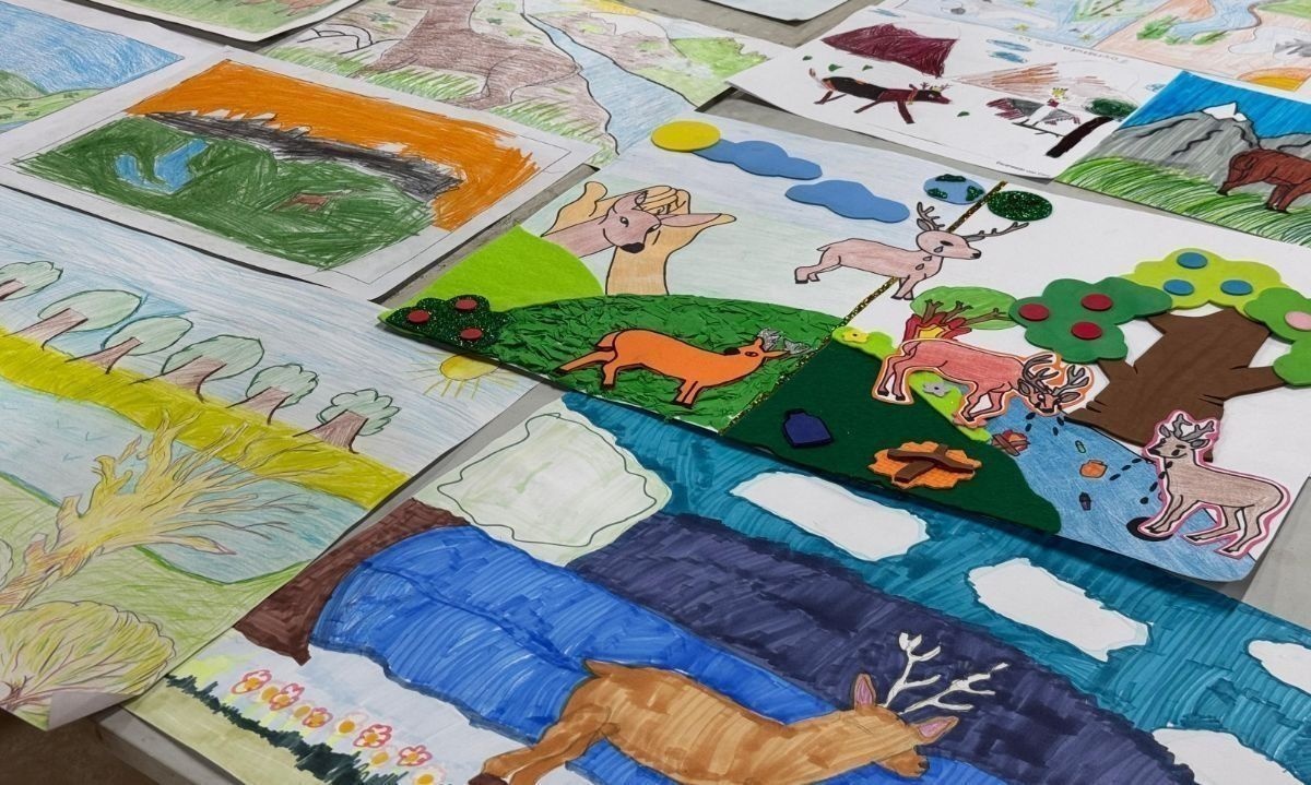 Nueva versión del concurso aysenino El bosque es vida ya tiene a sus ganadores  