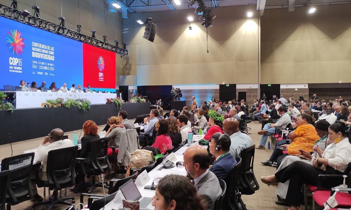 WWF sobre COP16 de Biodiversidad: algunos avances, pero retrasos en acuerdos financieros clave