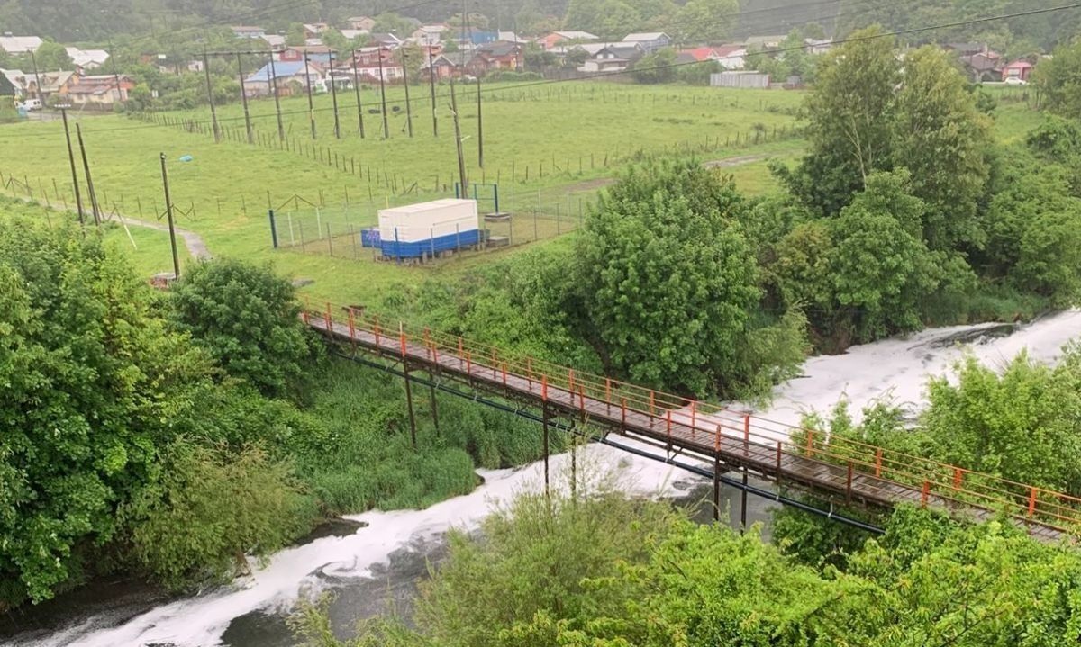 Investigan posible vinculación de descargas industriales en contaminación de río en Osorno 