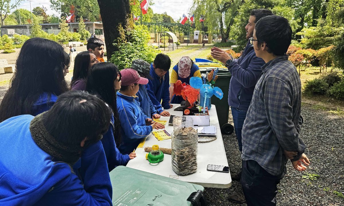 Más de 300 niños participan en Patatour Ecoeducativo en Osorno