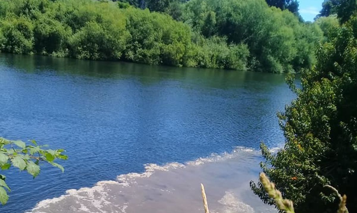 La instancia abordará las denuncias de contaminación que se han realizado. Crédito:| Archivo rio Rahue. Red Ambiental Ciudadana de Osorno.
