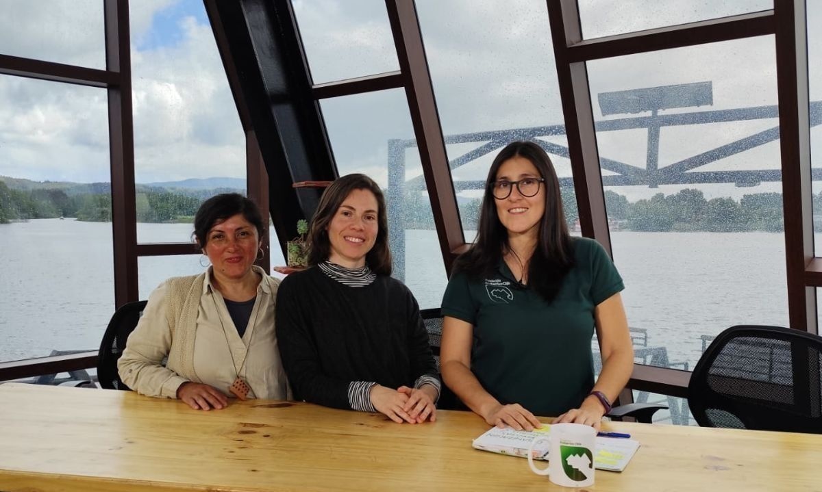 Anuncian nuevo Encuentro de educación al aire libre en la infancia en Valdivia