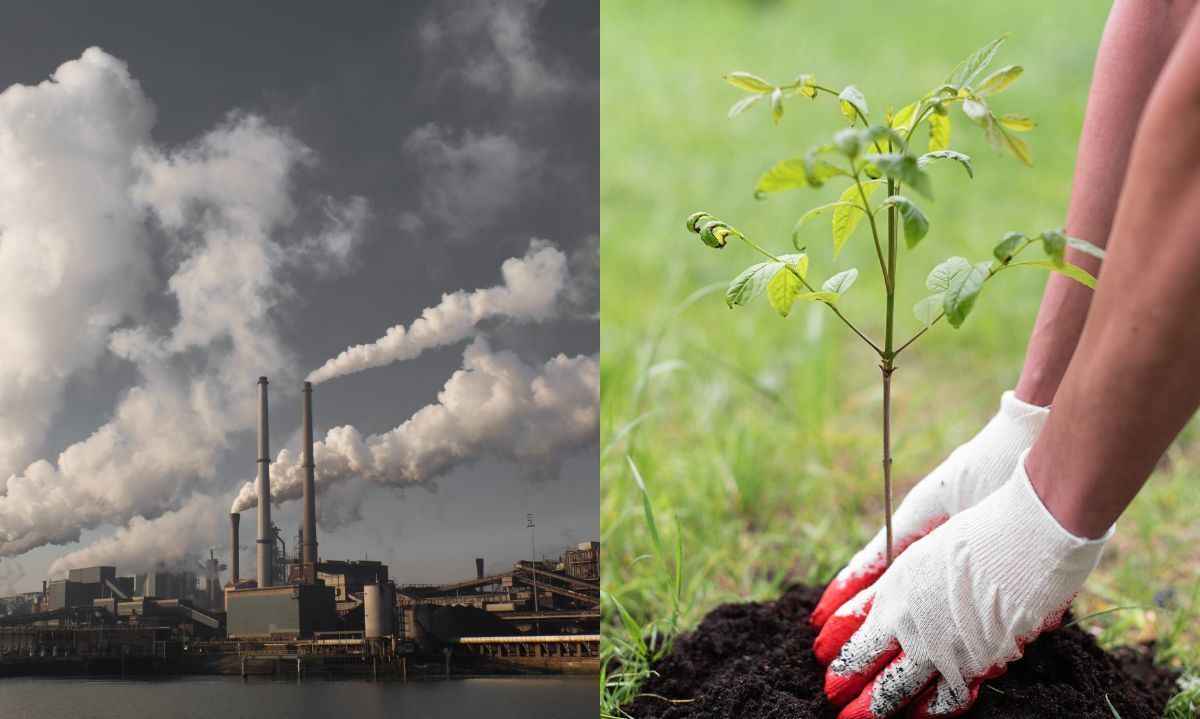 Mesa Ciudadana sobre Cambio Climático aborda desafíos para Chile