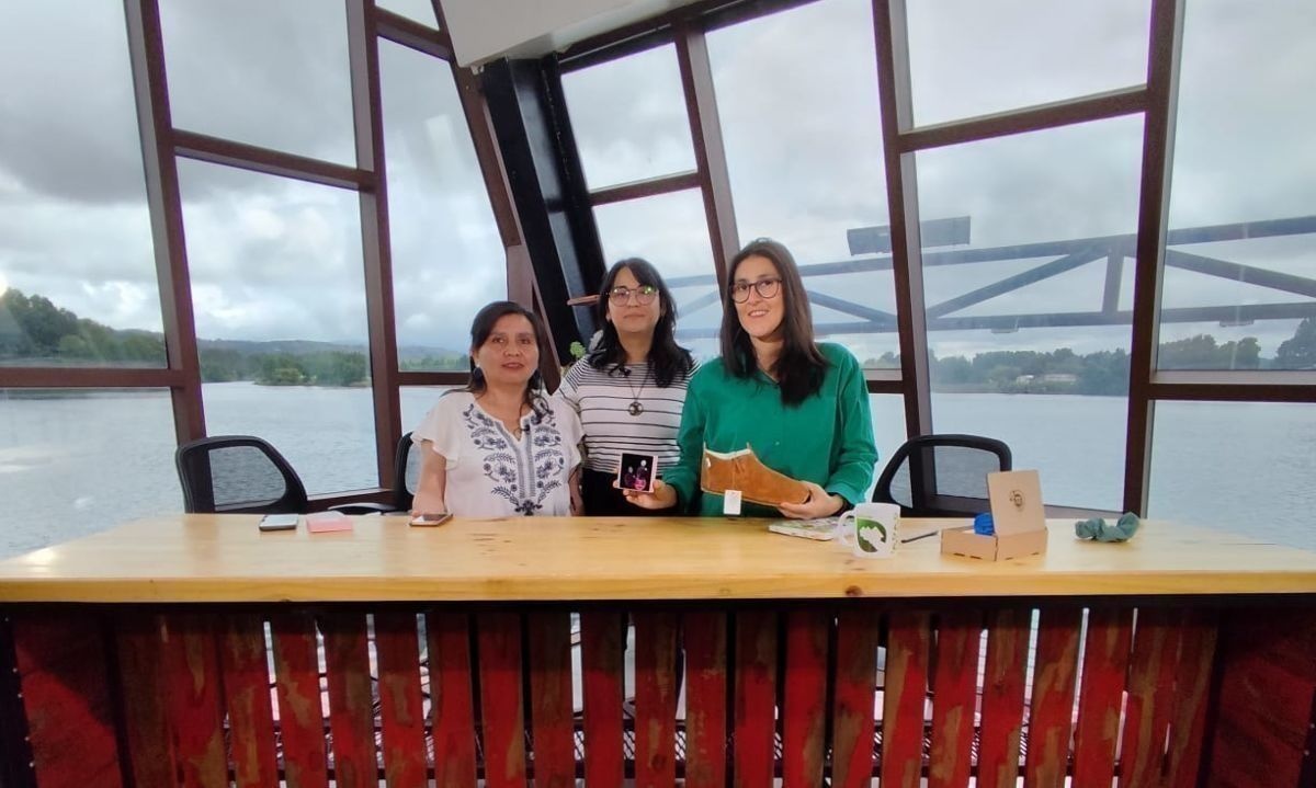 Creadoras Sustentables: reuniendo el medioambiente,  la creatividad y el emprendimiento en Valdivia