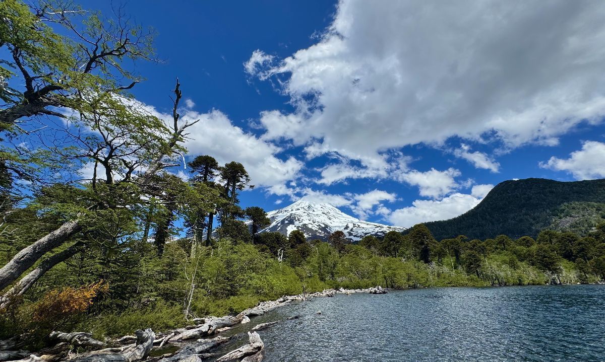 Hito para las comunidades mapuche: crean consejo de cogobernanza y gestión del Parque Nacional Villarrica