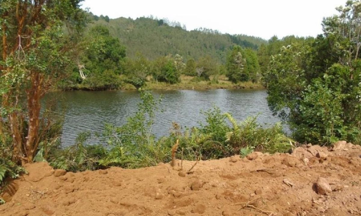 Revelan grave daño ambiental a humedal prioritario en la Región de Los Ríos 