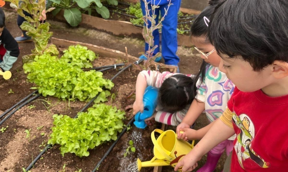 Cosechando Agua, Sembramos Futuro: una iniciativa para cuidar el agua en tiempos de escasez hídrica