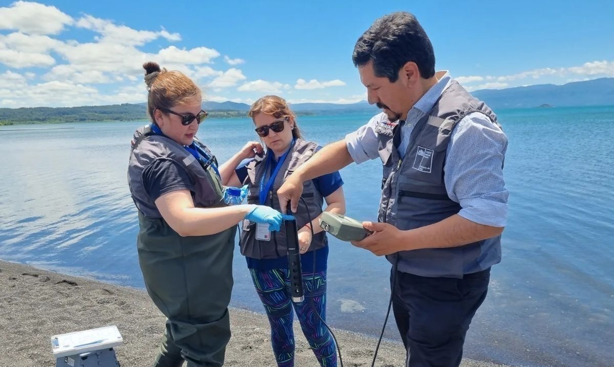 Monitorean lago Villarrica por intoxicación de dos jóvenes 