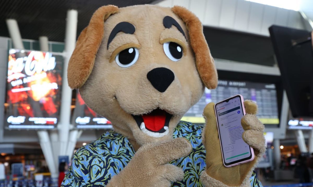 Lanzan chatbot con inteligencia artificial para orientar a quienes viajan con  mascotas fuera de Chile