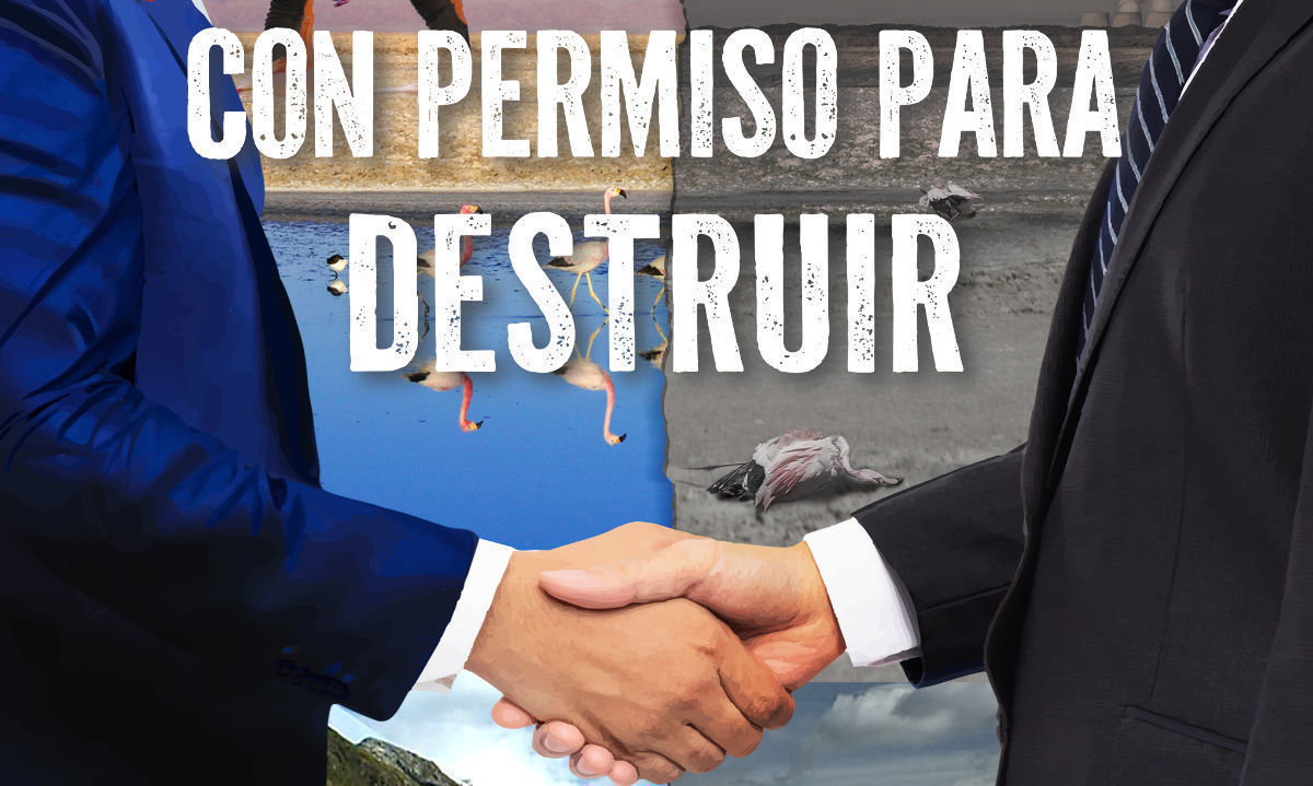 Con permiso para destruir: Balance Ambiental 2024 de Fundación Terram