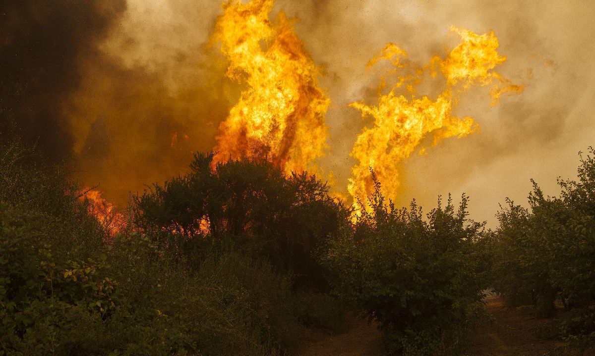 Greenpeace llama a prevenir incendios forestales en esta temporada estival