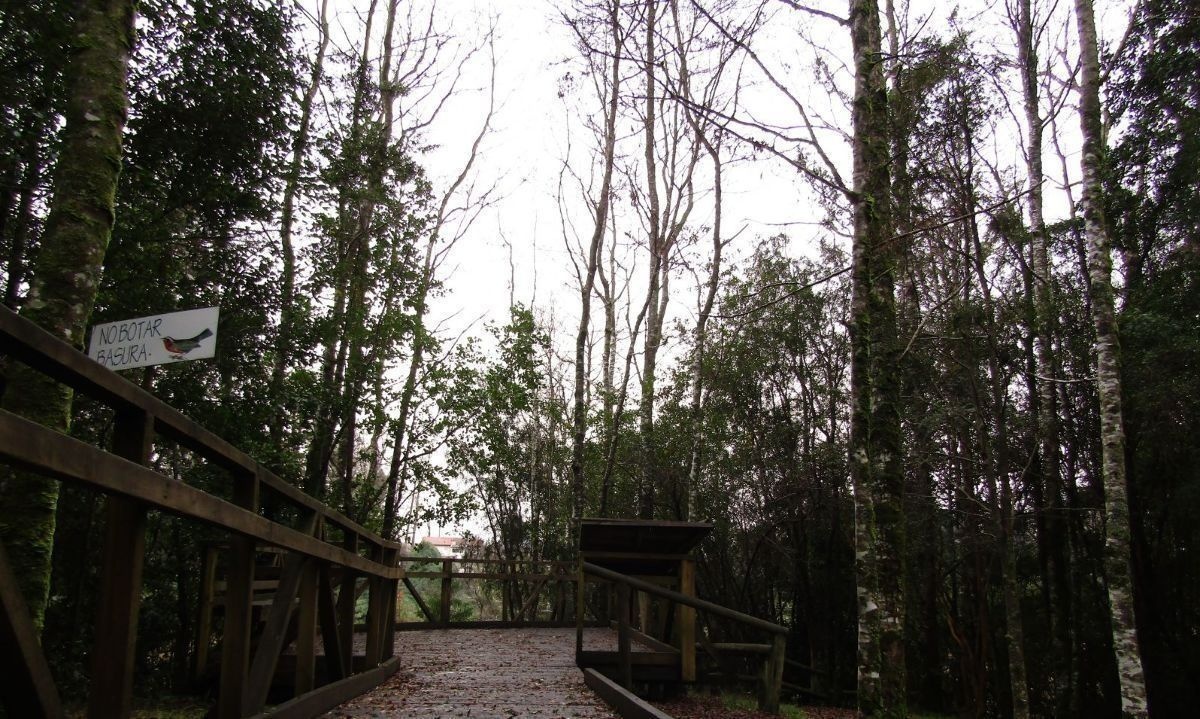 La campaña buscaba perpetuar el trabajo de conservación del Parque Urbano el Bosque. Crédito: Cedida.
