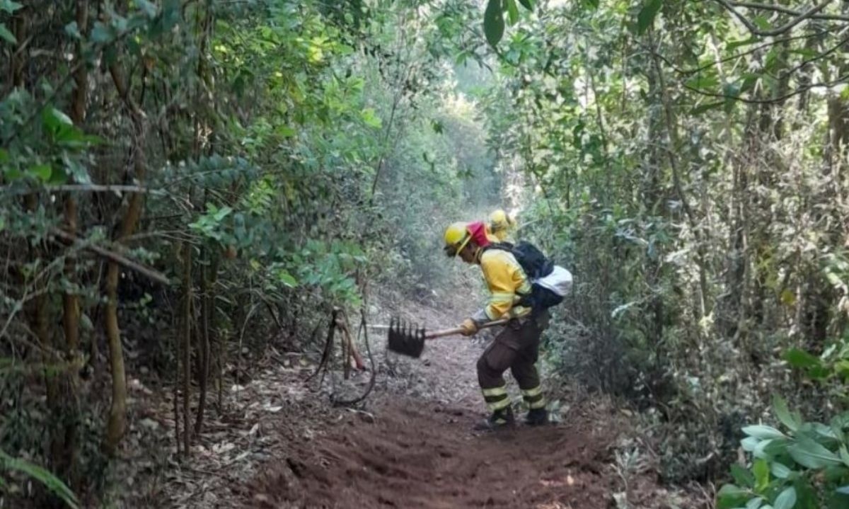 Empresa Socoepa reitera la importancia de evitar incendios forestales