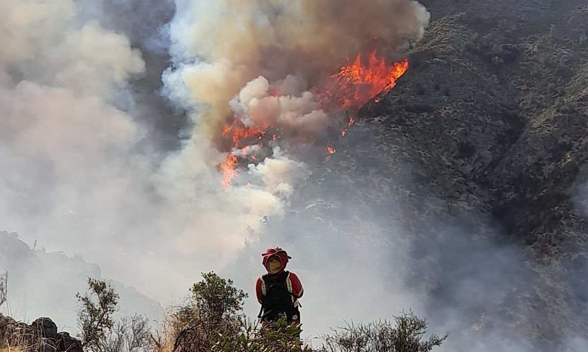 Debido al aumento de incendios forestales es necesario reforzar las acciones de prevención