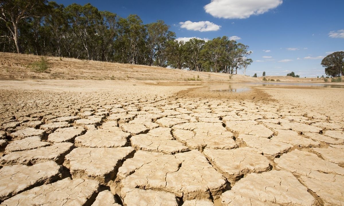 Preocupantes datos dio a conocer el Servicio de Cambio Climático de Copernicus. Crédito: Cedida