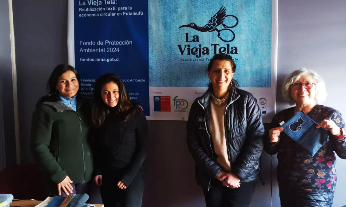 Anuncian proyectos ganadores del Fondo de Protección Ambiental en Los Lagos