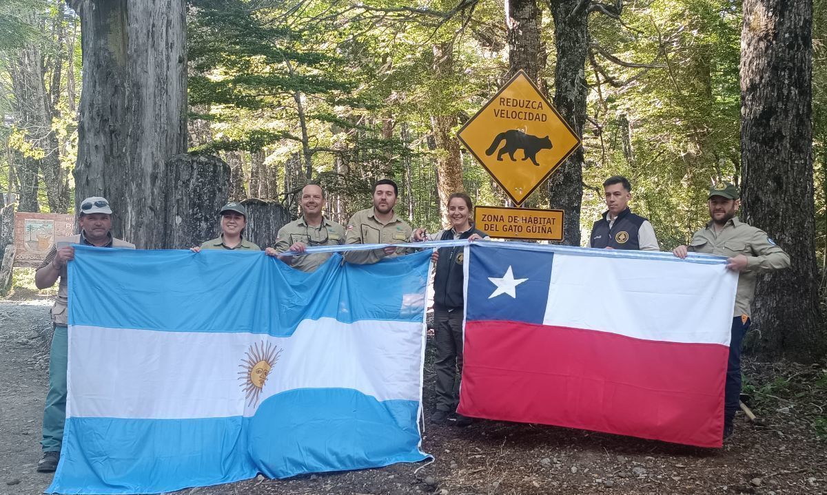 Campaña Lento por la Fauna llega hasta la frontera de Chile y Argentina para proteger a la vida silvestre 