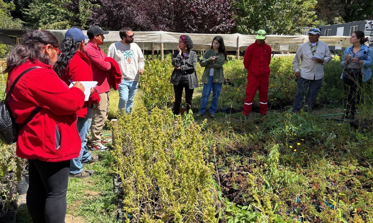 Vivero municipal de Valdivia comparte su experiencia de núcleos nativos con delegación de Villarrica