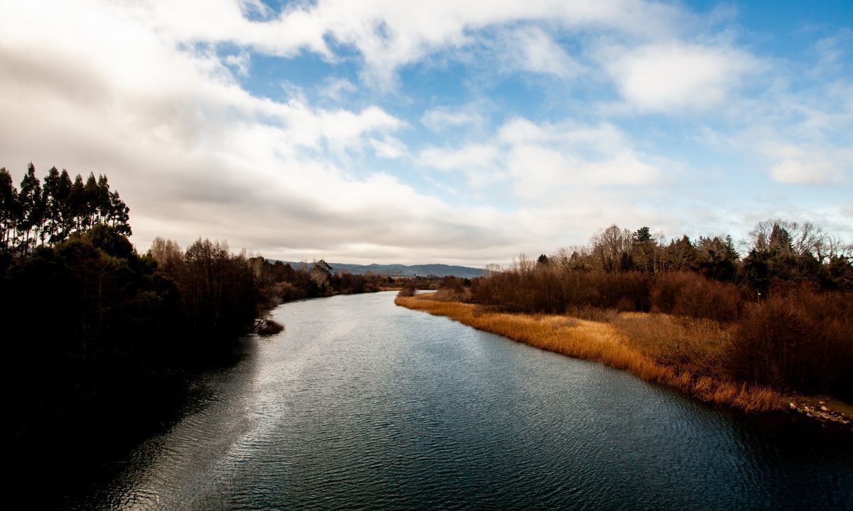 Municipio de Valdivia cuestiona piscicultura en el río San Pedro y pedirá reevaluación