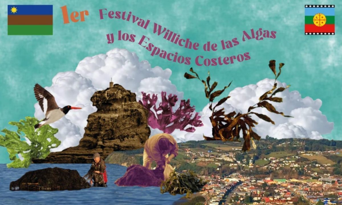 Quinchao será protagonista del primer Festival Williche de las Algas y los Espacios Costeros 