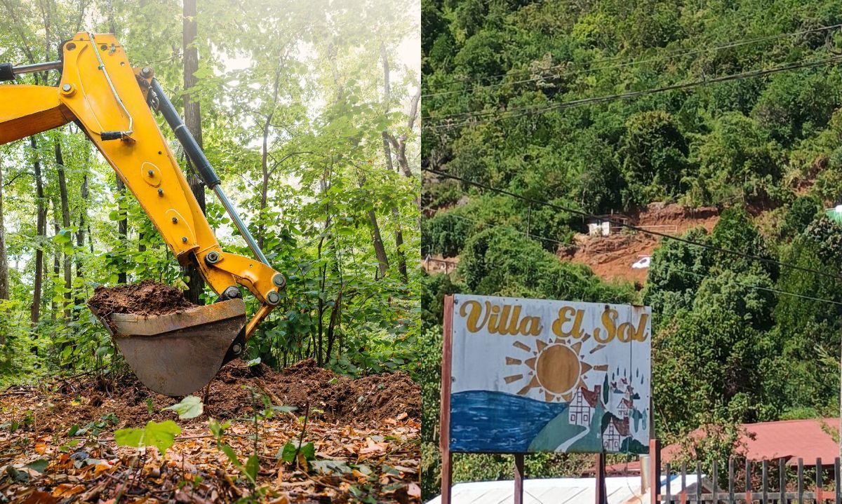 Vecinos denuncian intervención con maquinaria en humedal y bosque nativo de Niebla