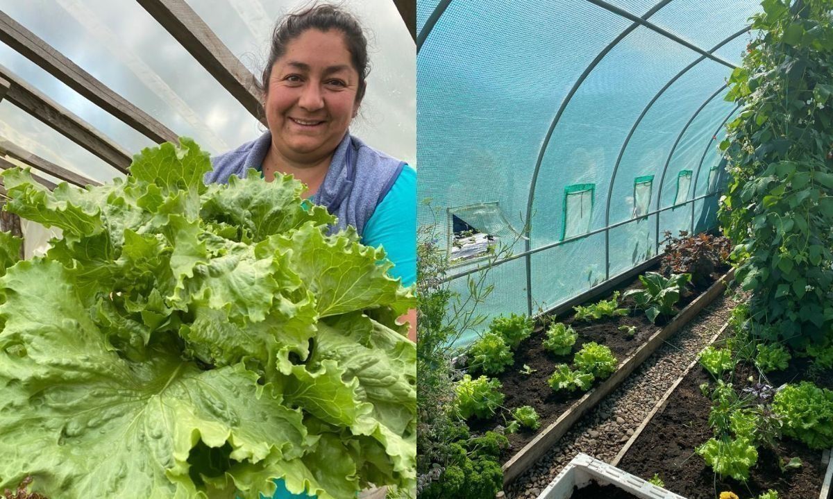 Aysén: impulsarán transición a una agricultura más resiliente frente al cambio climático