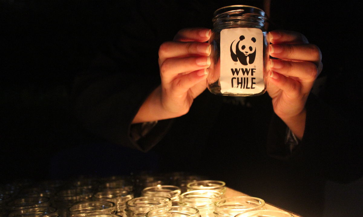 Con música y compromiso WWF Chile invita a una nueva Hora del Planeta