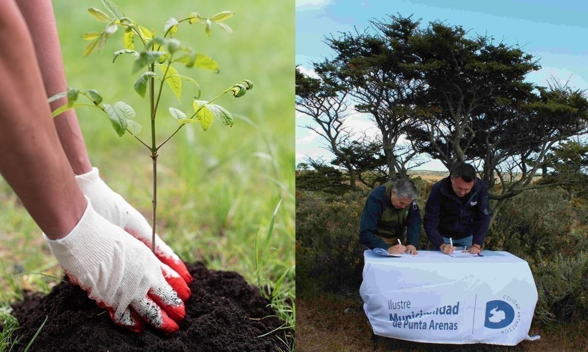 Firman acuerdo para desarrollar proyecto de arborización en Parque Chabunco