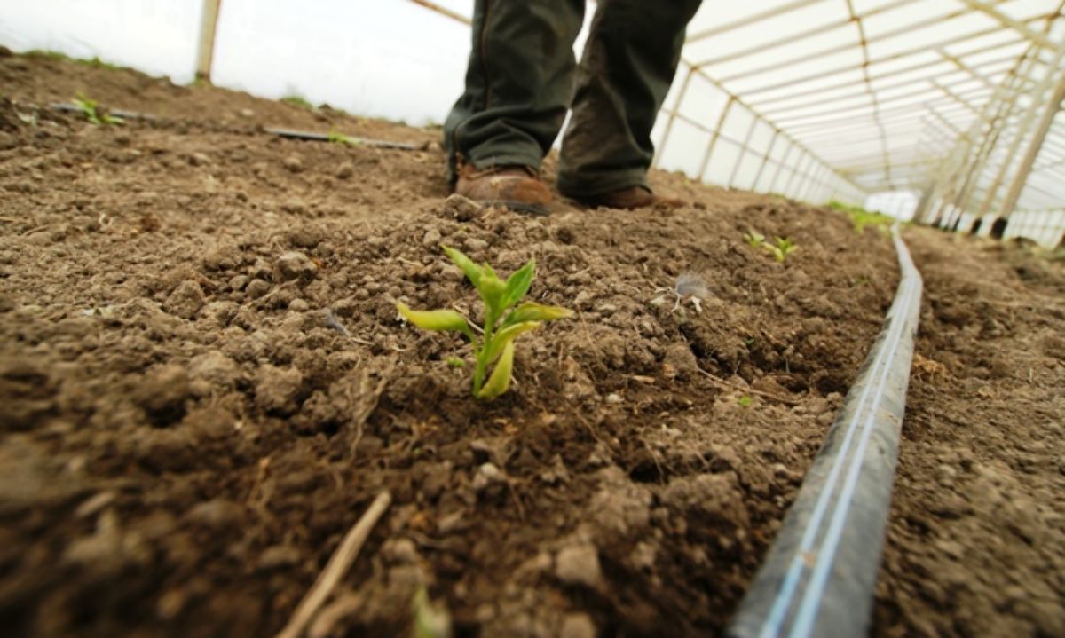 Concurso apoyará a agricultores de Aysén en la recuperación y manejo sustentable de sus terrenos