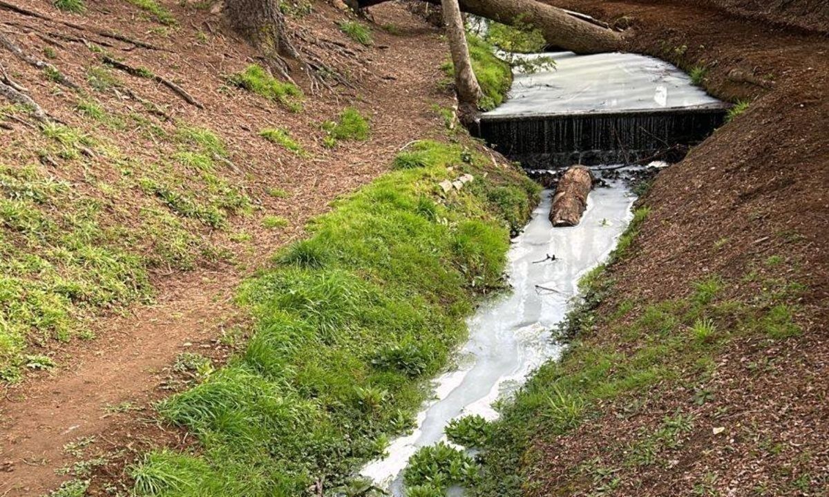 Establecen causas y responsables por contaminación de esteros en Osorno