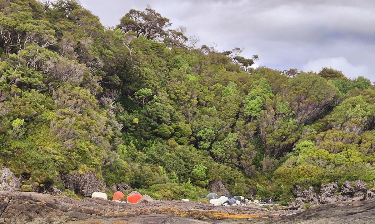 Detectan acumulación de residuos acuícolas en Canal Moraleda y Parque Nacional Isla Magdalena