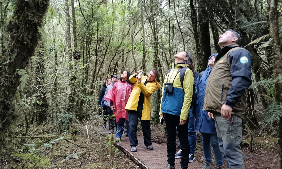 Expertos internacionales conocieron proyecto de restauración de monumento natural en Puerto Montt