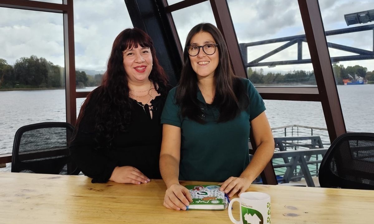 Ecomercado Solidario en Valdivia ha beneficiado a cerca de 1.200 familias 